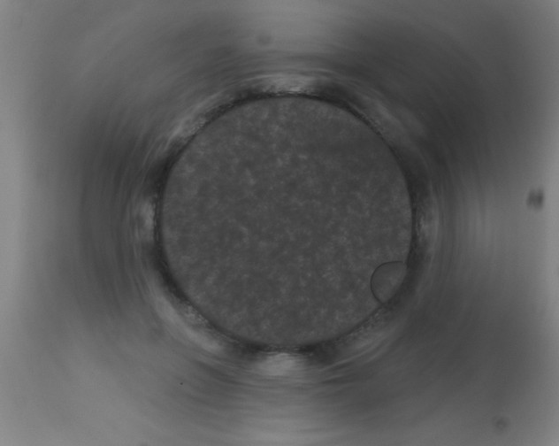 X0000113160551200910161247