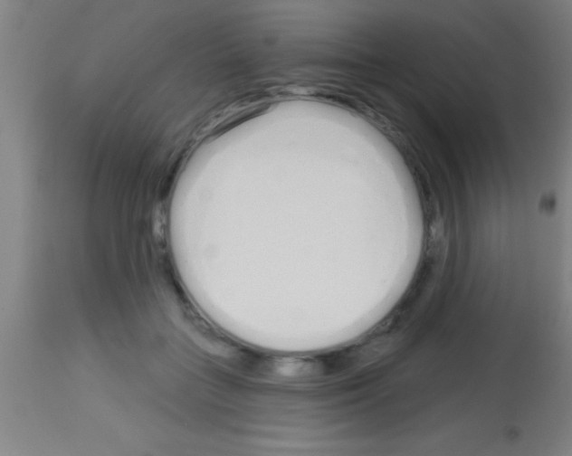 X0000113160555200910161247