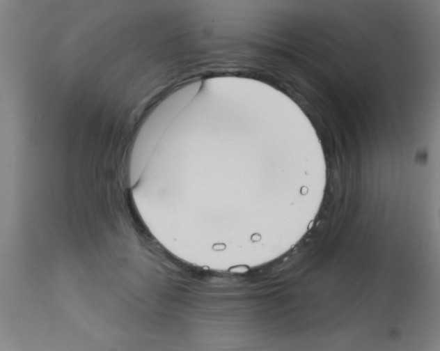 X0000113160556200910161247