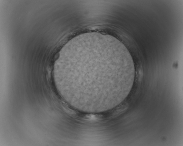 X0000113160558200910161247