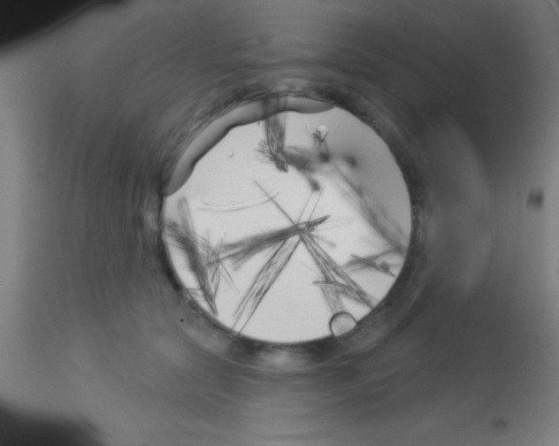 X0000113160561200910161247