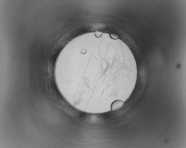 X0000113160565200910161247