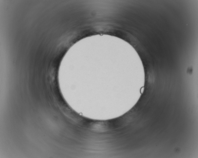 X0000113160567200910161247