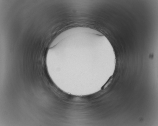 X0000113160568200910161247