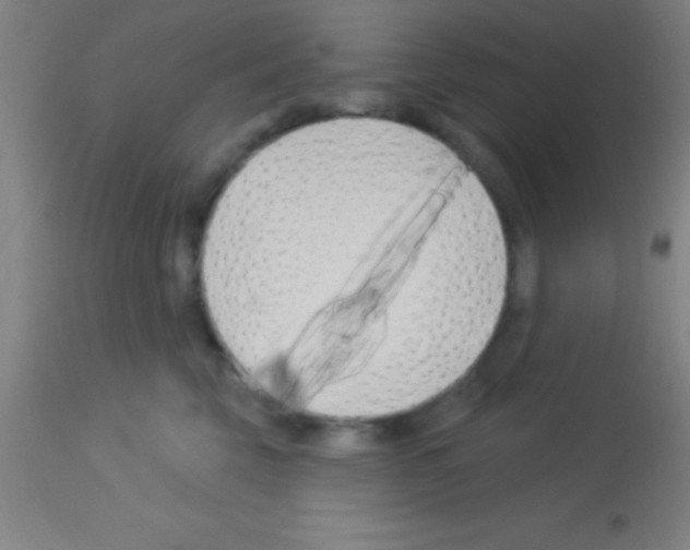 X0000113160569200910161247