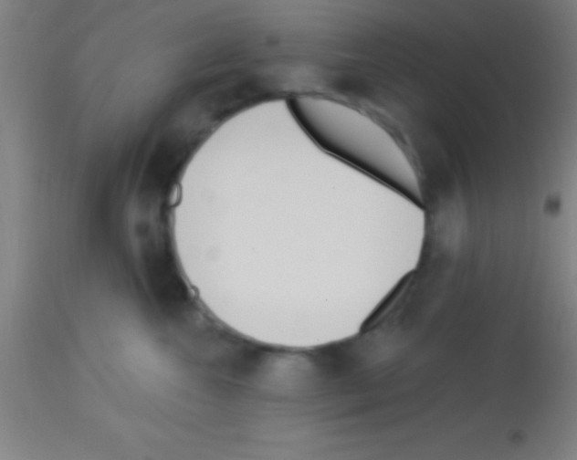 X0000113160572200910161247