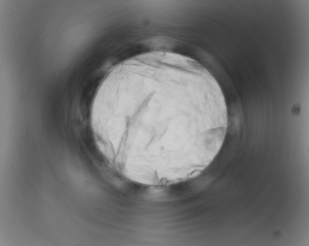 X0000113160573200910161247