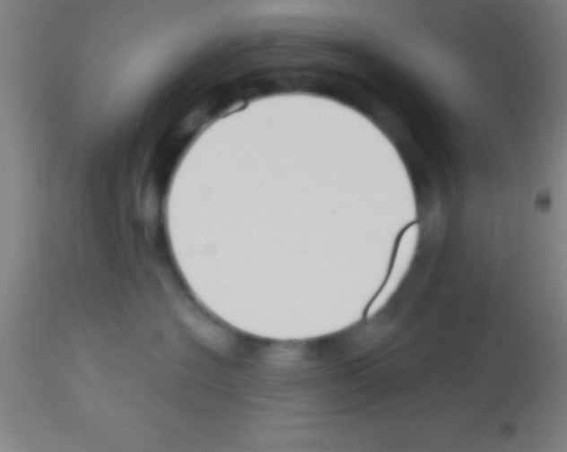 X0000113160574200910161247