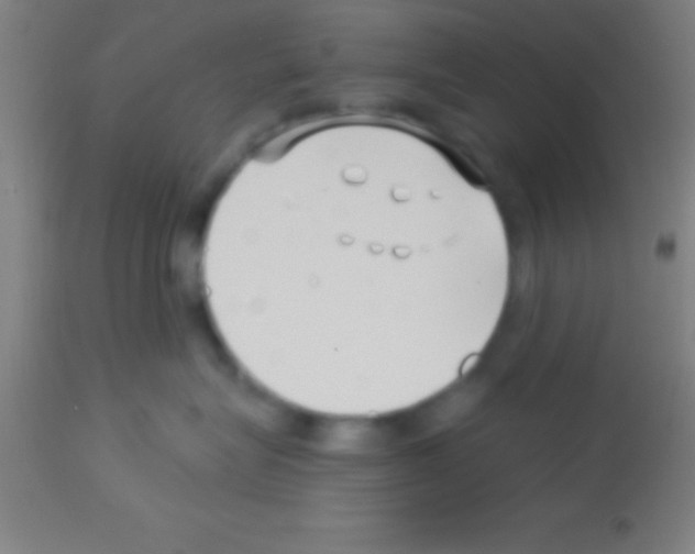 X0000113160575200910161247