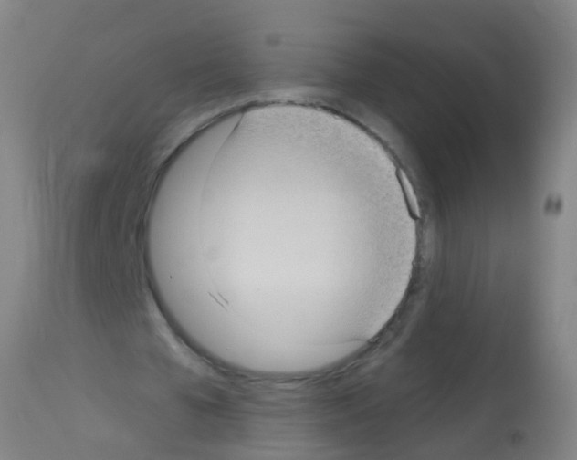 X0000113160577200910161246