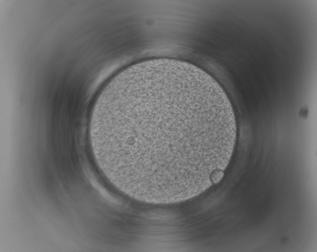 X0000113160578200910161246