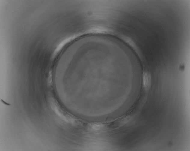 X0000113160579200910161246