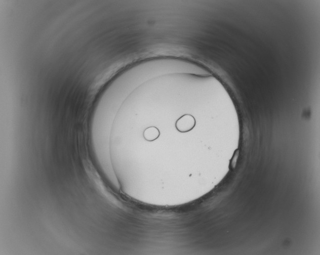 X0000113160581200910161246