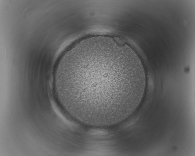 X0000113160582200910161246