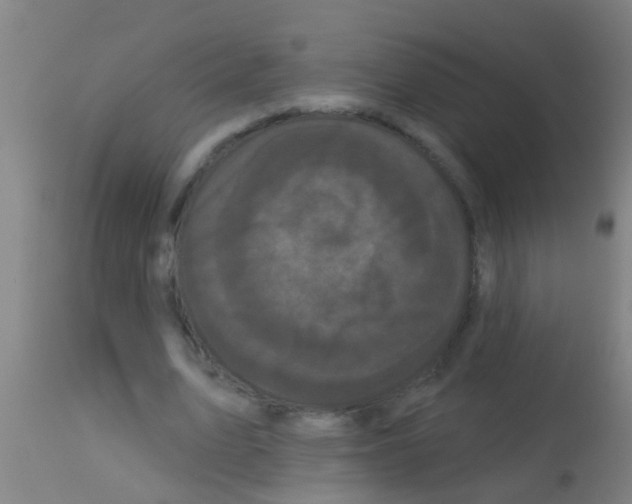 X0000113160583200910161246