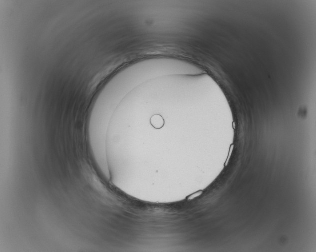 X0000113160585200910161246