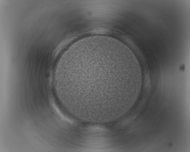 X0000113160586200910161246