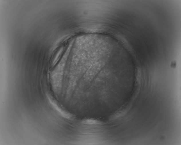 X0000113160590200910161246