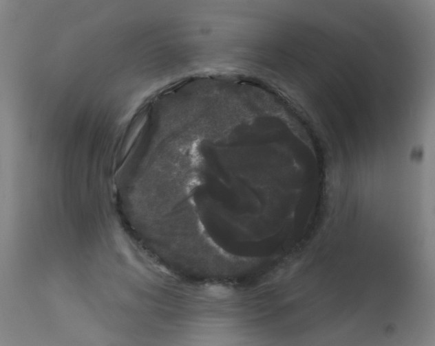 X0000113160592200910161246