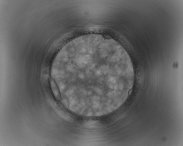 X0000113160593200910161246