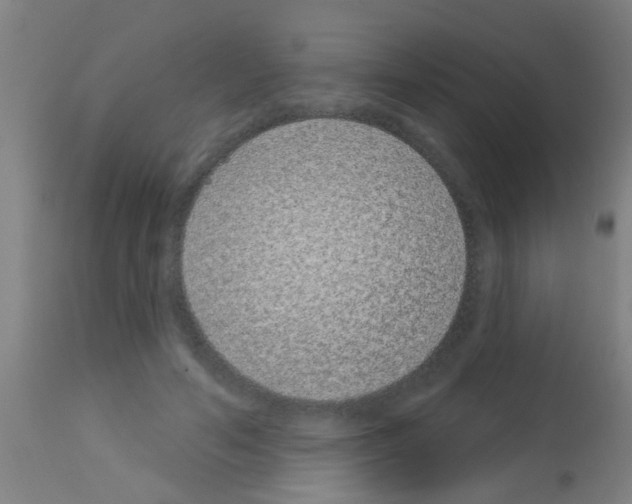 X0000113160594200910161246