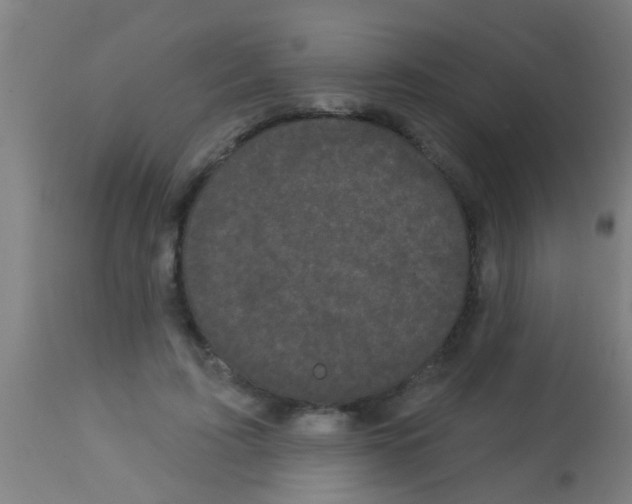 X0000113160595200910161246