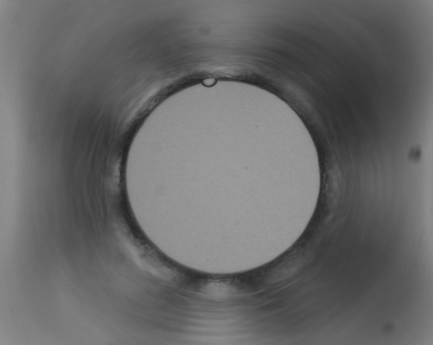 X0000113160596200910161246