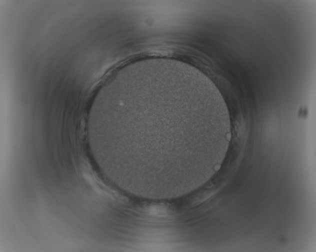 X0000113160600200910161246