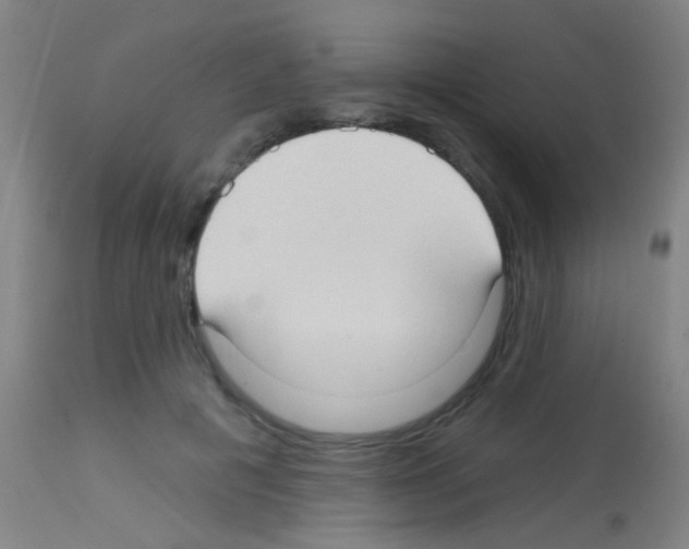 X0000113160601200910161246