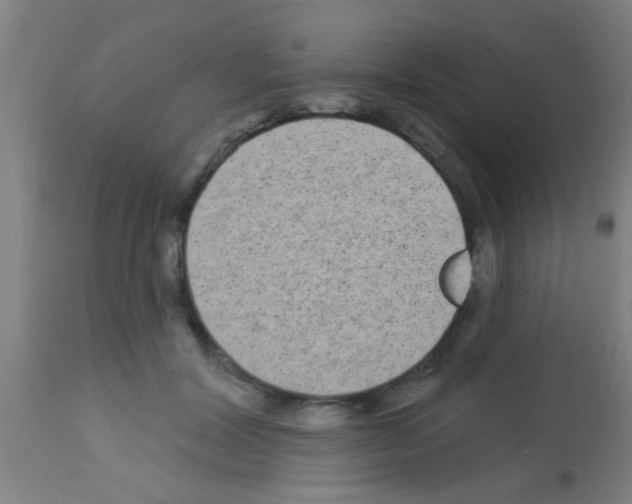 X0000113160604200910161246