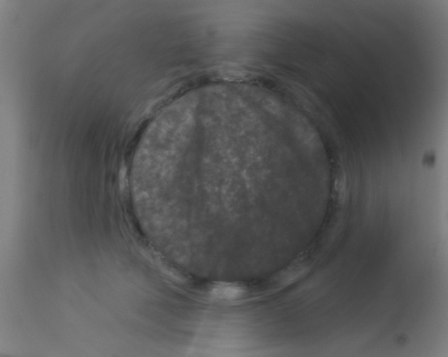 X0000113160610200910161246