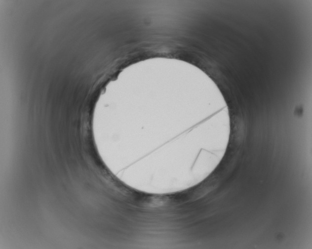 X0000113160612200910161246