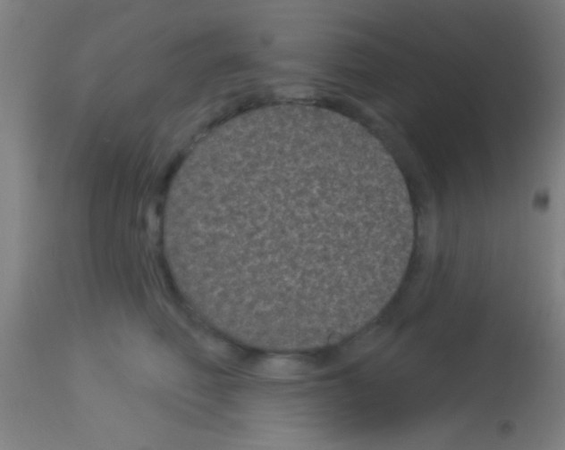 X0000113160614200910161246