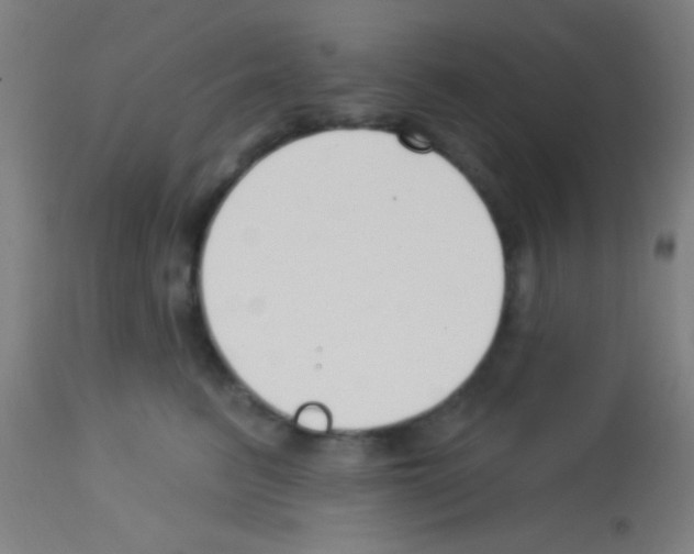 X0000113160615200910161246