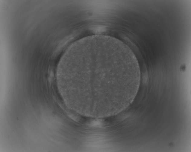 X0000113160618200910161246