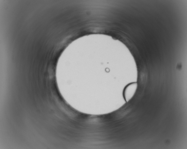 X0000113160620200910161246