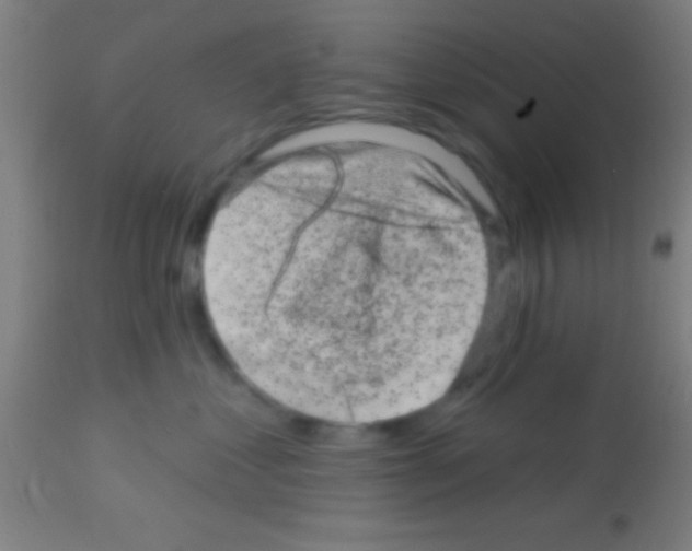 X0000113160621200910161246