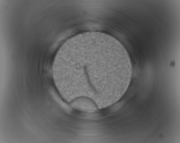 X0000113160622200910161246