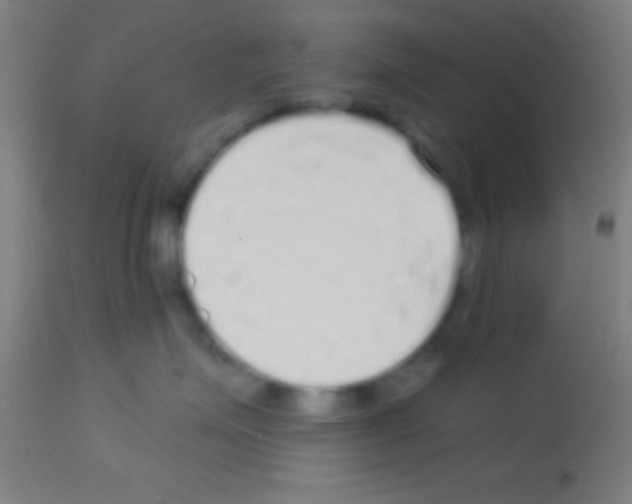 X0000113160623200910161246