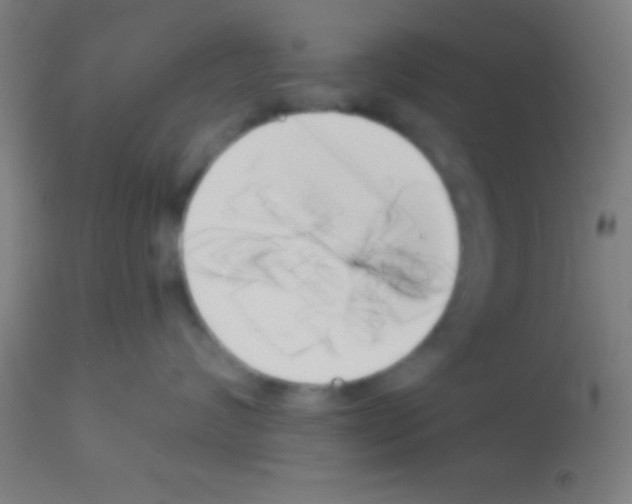 X0000113160624200910161246