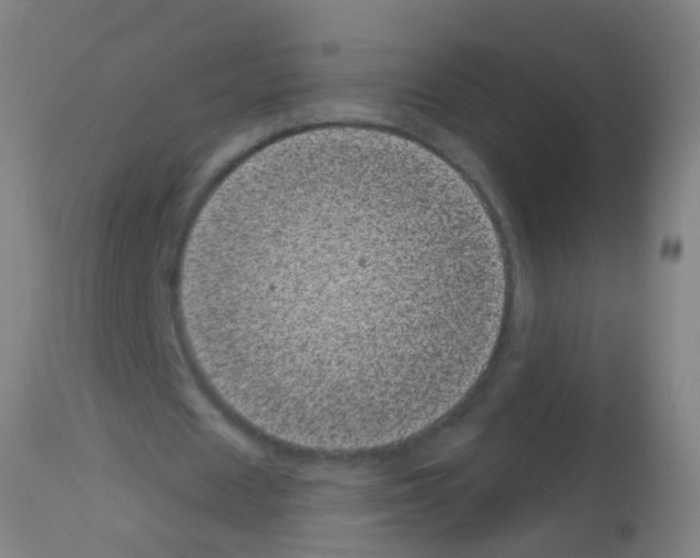 X0000113160625200910161245