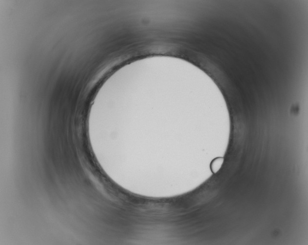 X0000113160626200910161245