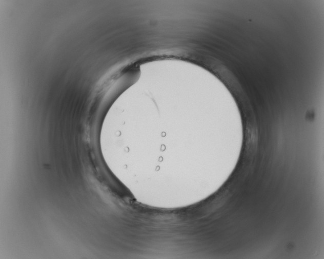 X0000113160628200910161245