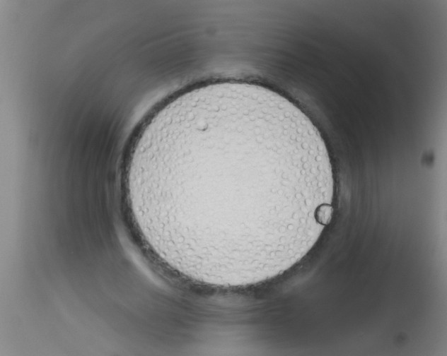 X0000113160630200910161245