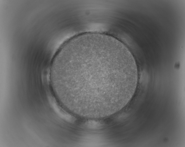 X0000113160632200910161245