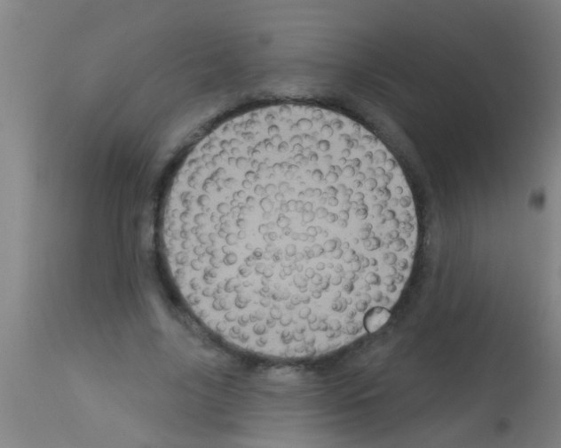 X0000113160635200910161245