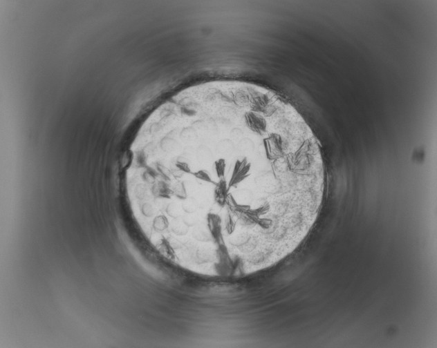 X0000113160638200910161245