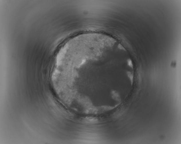 X0000113160640200910161245