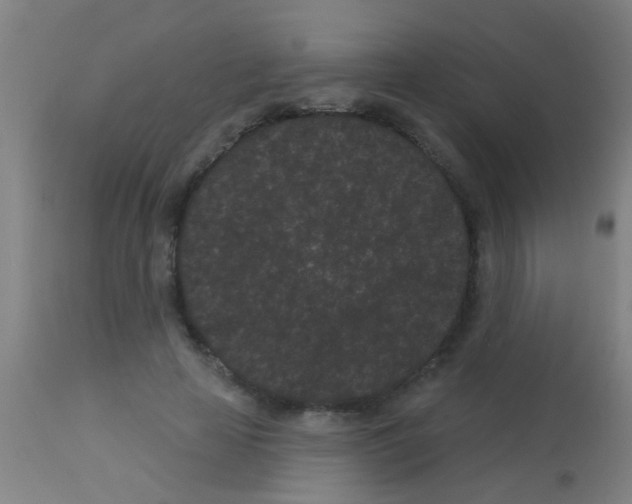 X0000113160641200910161245