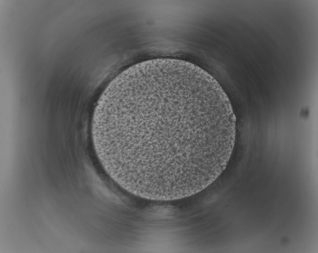 X0000113160642200910161245